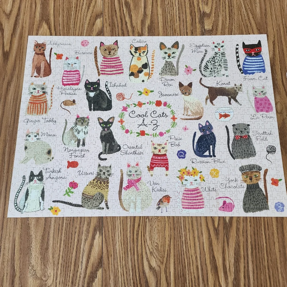 MudPuppy colorful Cool Cats A-Z 1000 piece Puzzle 27" X 20" - Picture 4 of 7